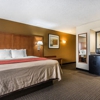 Comfort Inn gallery