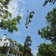 Blue Mountain Arbor