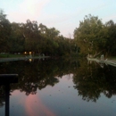 Sycamore Pool - Public Swimming Pools