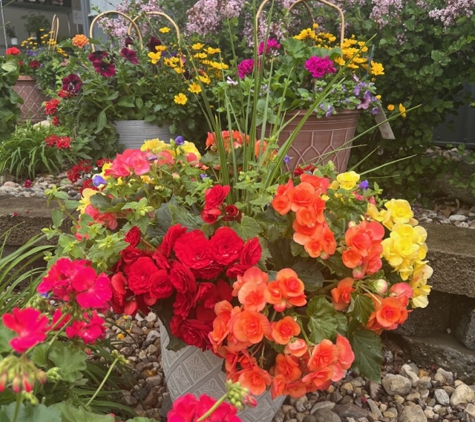 Blanchard’s Blossoms and Garden Center - Mason City, IA