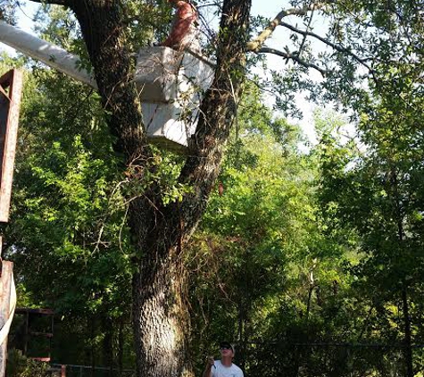 Kennedy Tree Service - Biloxi, MS