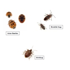 Kettle Moraine Pest Control, Inc.