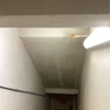 SERVPRO of The New Orleans Westbank gallery