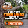 Walnut Tree Service gallery