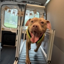 Zoomie Squad - Pet Services
