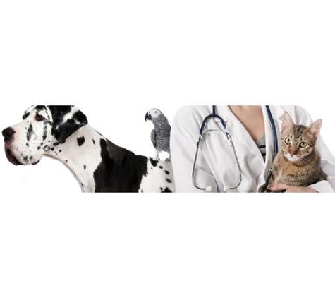 Lindisfarne Veterinary Clinic - Lindisfarne, TAS