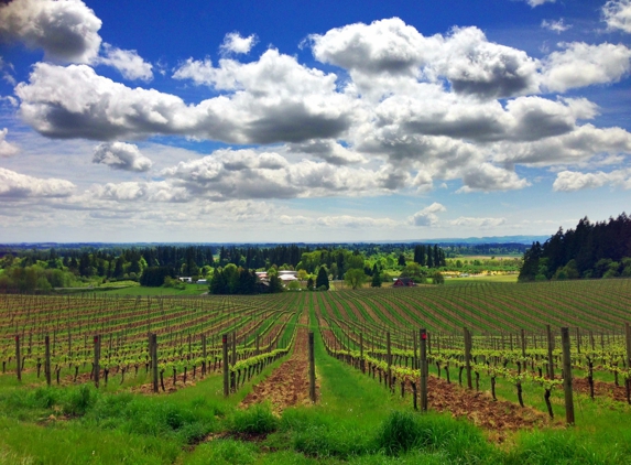 Sokol Blosser Winery - Dayton, OR