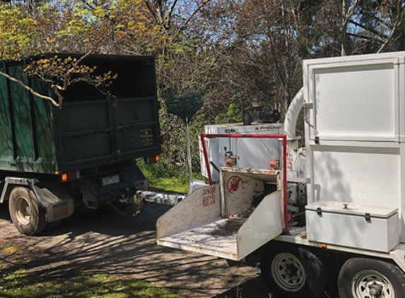 Global Arborist Australia - Port Melbourne, VIC