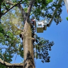 Shull's Tree Service