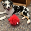 Canyon Creek Pet Hospital - Veterinary Clinics & Hospitals
