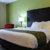 Quality Inn Florence East gallery