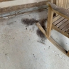 Badger Pest Control gallery