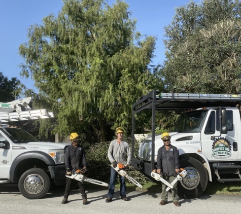 Tree service inc - Royal Palm Beach, FL