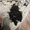 Roto-Rooter Plumbing & Water Cleanup - Plumbing-Drain & Sewer Cleaning