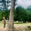 Big South Land & Tree - Arborists