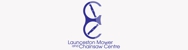 Launceston Mower & Chainsaw Centre Logo