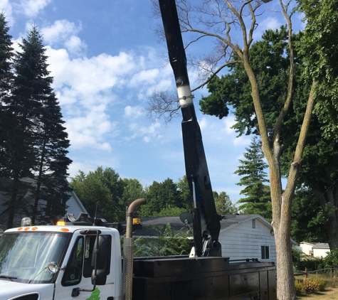 All in tree service and land clearing - Port Huron, MI