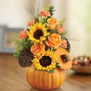 Baltimore Blossoms Studio - Florists