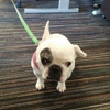 Glassdoor, Inc gallery