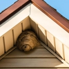 EcoShield Pest Solutions gallery