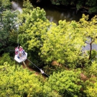 Canaan Zipline Canopy Tour