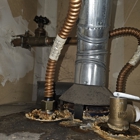 Mold Inspection Service