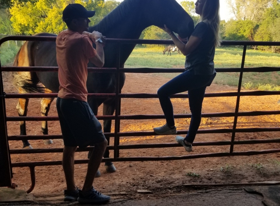 REDROCK STABLES LLC - Oklahoma City, OK. Jazz getting some love from Sophie