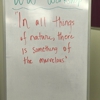 Weight Watchers gallery