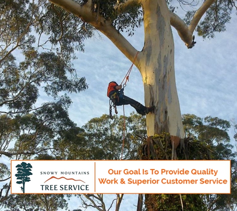 Snowy Mountains Tree Service Pty Limited - Cooma, NSW. Our Goal Is To Provide Quality Work & Superior Customer Service