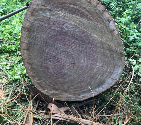 Richard Storton - Nuriootpa, SA. Look at that log