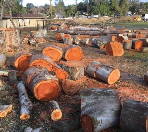 Top Notch Tree Care, Inc. - Escondido, CA