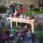 Huddart Floral Company