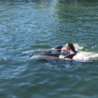 Dolphins Plus Oceanside Marine Mammal Responder Inc
