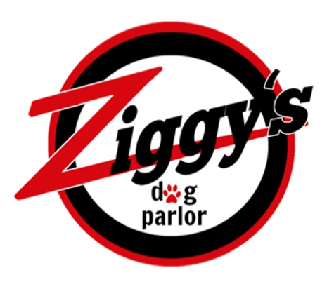 Ziggy's Parlor - Mount Pleasant, SC