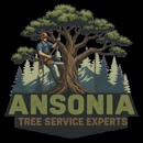 Ansonia Tree Service Experts - Arborists