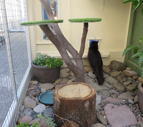 Kit-e-Kat B & B Shellharbour - Barrack Heights, NSW
