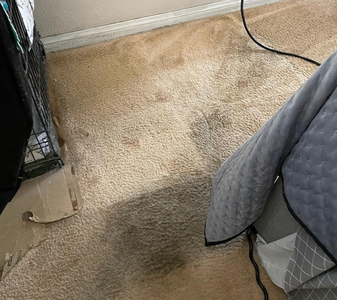 Grand Slam Carpet Care - Sacramento, CA