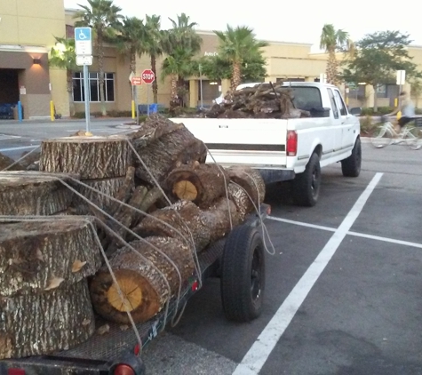 Matt McGinnis Tree Care - Saint Petersburg, FL