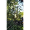 Airborne Tree Service gallery