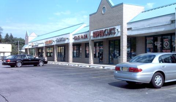 Signarama Des Plaines, IL - Des Plaines, IL