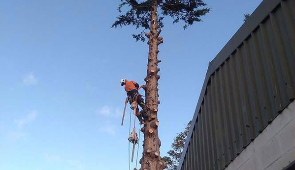 Horizon Tree Service - Lutana, TAS