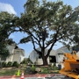 Texas Tree Removal and Trimming