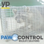 Paw Control Wildlife Solutions