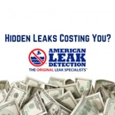 American Leak Detection - Leak Detecting Service
