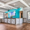 Pet Paradise gallery