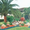 Exotic Gardens Landscaping & Beyond LLC gallery