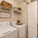 Chason Ridge Apartment Homes - Apartments