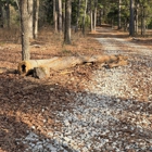 Jackson Land & Excavation