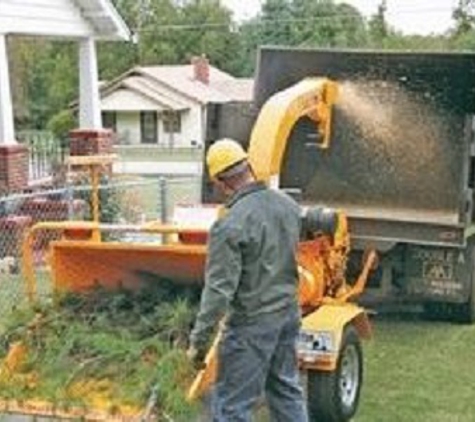 3Way Tree Services Pty Ltd - Malvern East, VIC