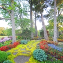 Gurley's Azalea Garden - Sod & Sodding Service